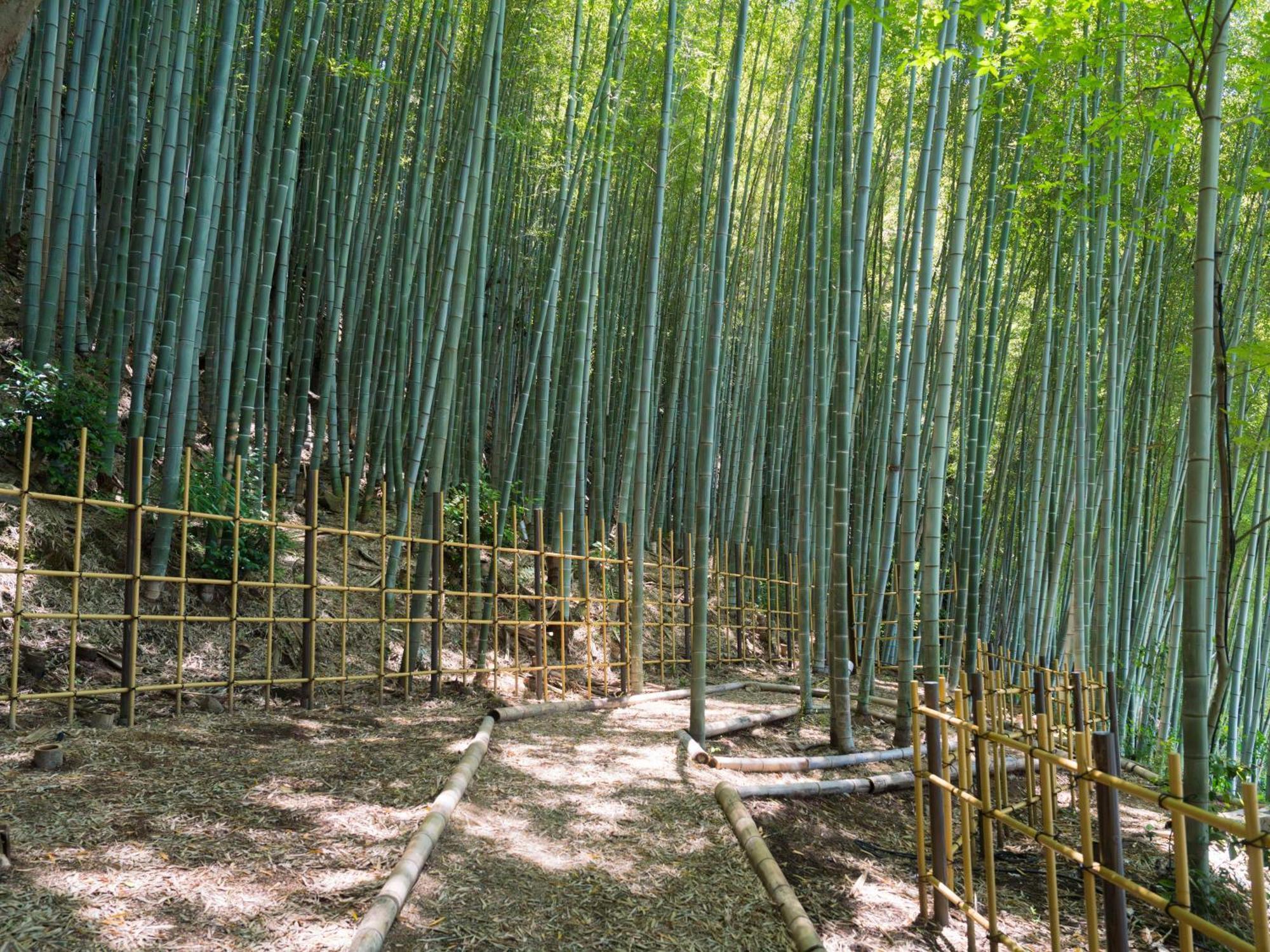 Banyan Tree Higashiyama Hotel Quioto